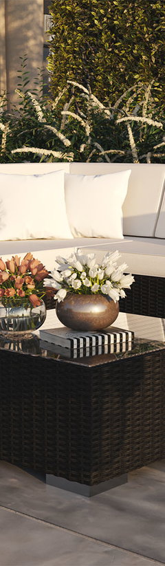 Epona S