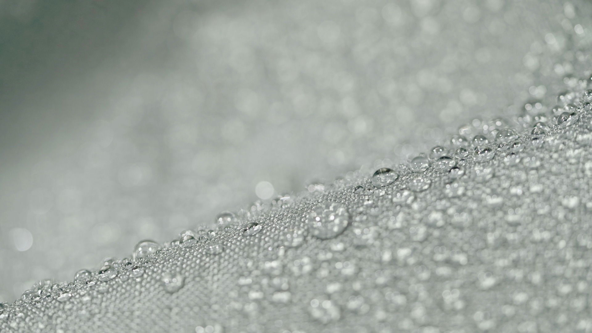 Flammea / Florence Wetterschutz