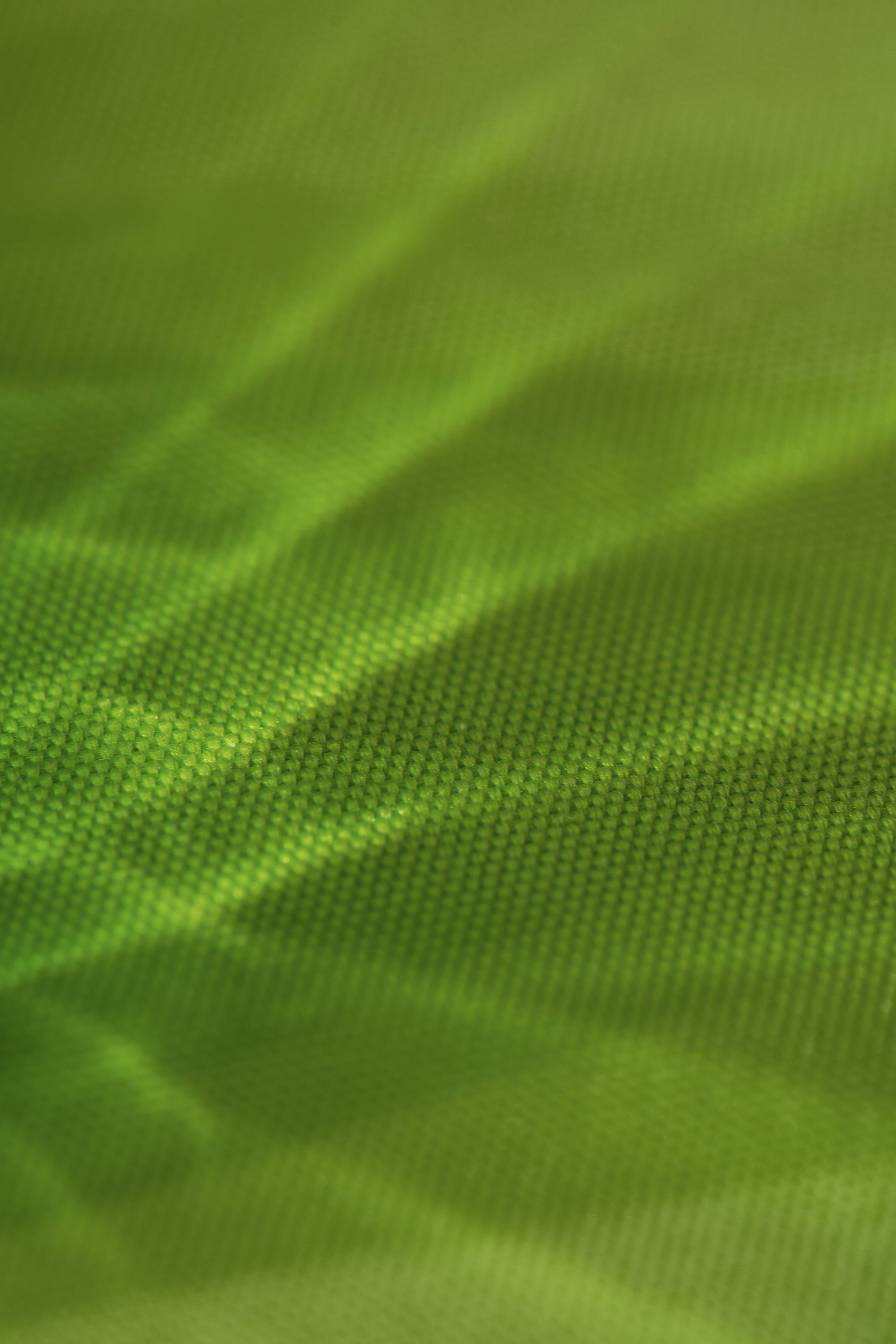 Bezugsstoff Grün Inszeniert